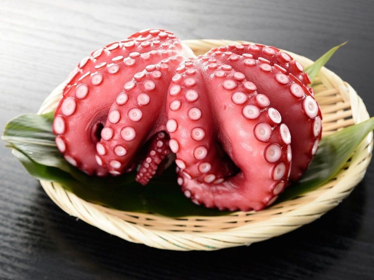 瀬戸内海産 茹でタコ 約600g – 高知かわうそ市場