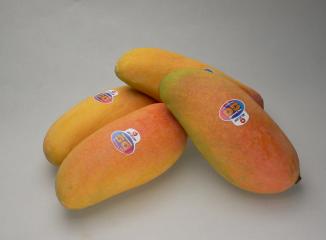 タイ産最高級 マンゴー 10玉 ナムドクマイ ナンドクマイ697