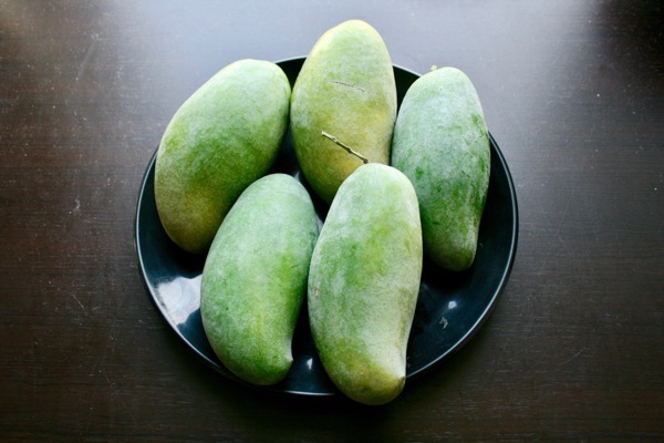 タイ産マンゴー ナムドクマイ種 マハチャノ種 3玉入 タイマンゴ