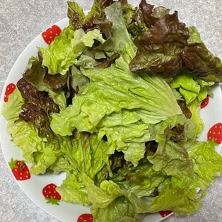 シャキッと長持ち! レタスの正しい保存方法と保存期間とは?東京ガス ウチコト