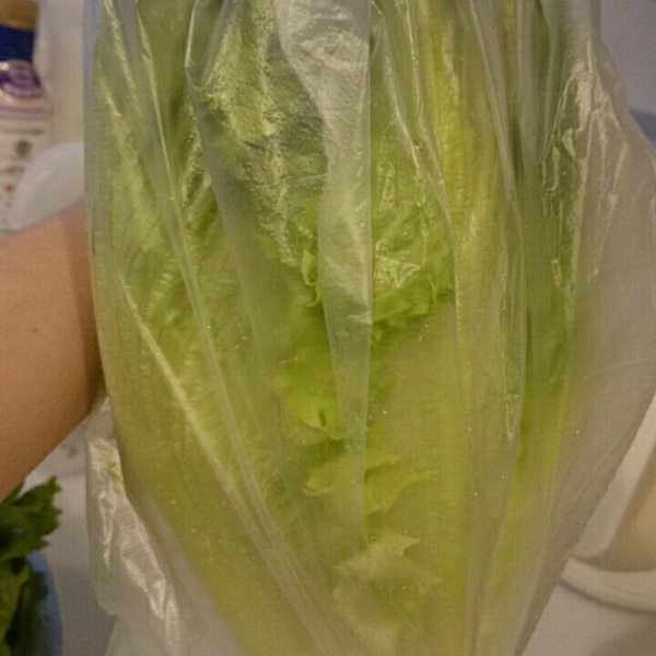 50度洗いと、鮮度を保つレタスのちぎり方。 静岡クッキングアンバサダー: スパイスと薬膳と