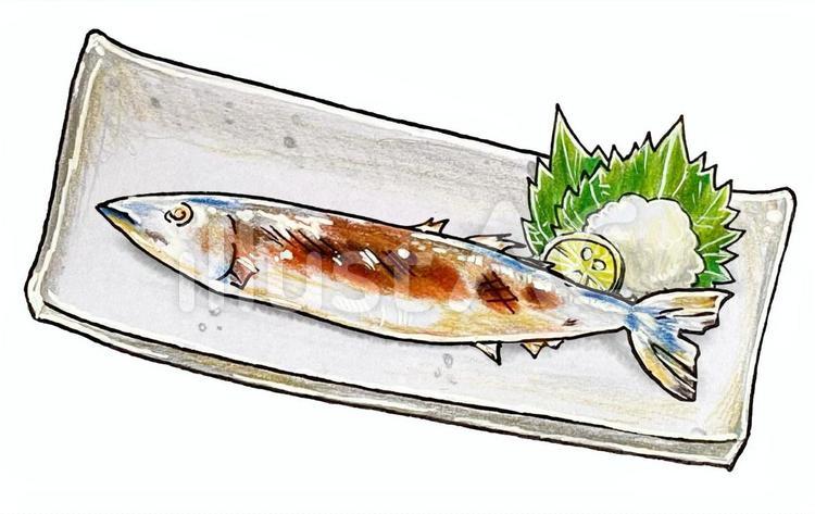 焼きサンマのイラストかわいいフリー素材集 いらすとや