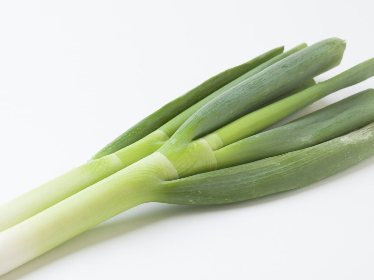 200210根深ネギの上手な追肥・土寄せの仕方JA西春日井