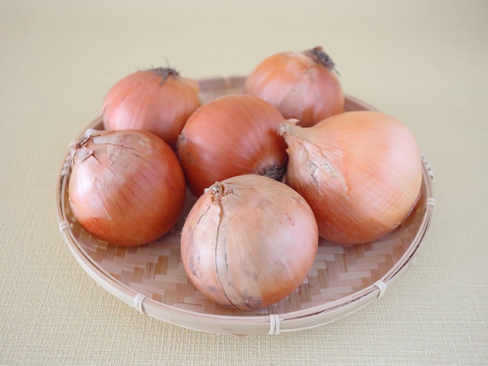 玉ねぎの保存方法 - 野菜の保存方法 料理の基礎レシピサイトNadia