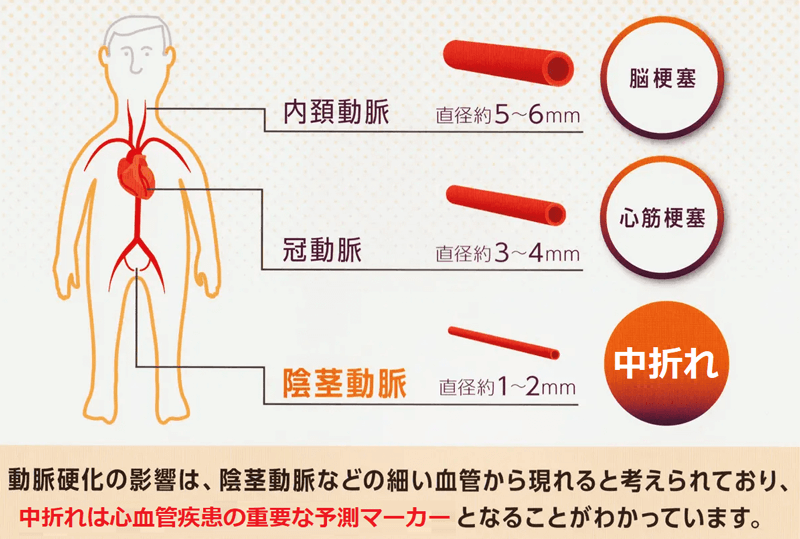 【イカ臭さ】女子にとってペ◯スの匂いは好き？嫌い？