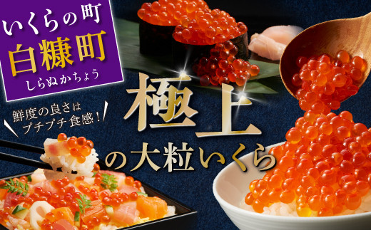 いくら醤油漬 鱒卵 400g 200g × 2 いくら イクラ 小分け イクラ醤油漬 いくら醤油漬け イクラ醤油漬け ikura 醤油いくら 醤油イクラ冷凍いくら 冷凍イクラ 人気いくら 人気イクラ 大人気いくら人気 ふるさと納税 ふるさとチョイス 北海道 白糠町 - 北海道白糠町