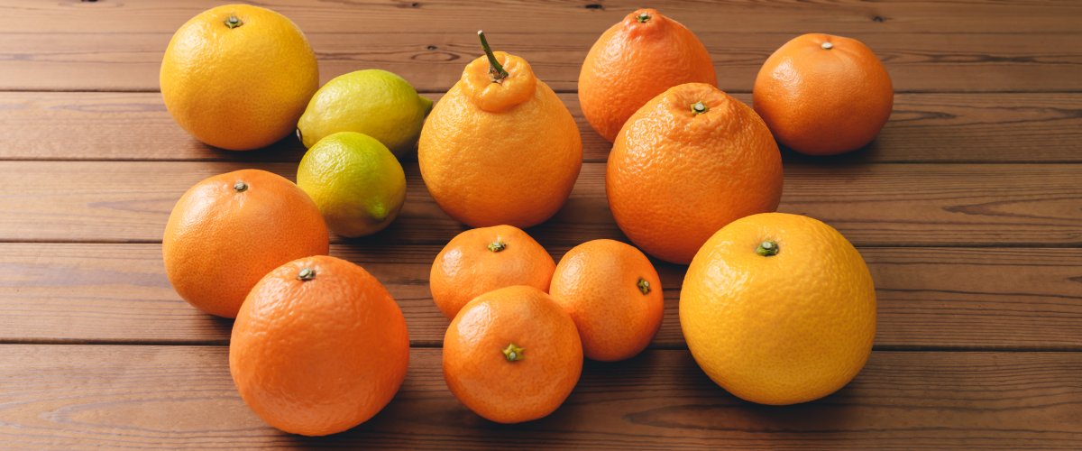 600以上の無料みかん&フルーツ画像 - Pixabay