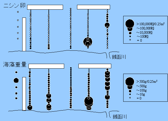ニシンの卵なのに、なぜ「数の子」と呼ばれる？ 雑学うんちく図鑑 28- レタスクラブ