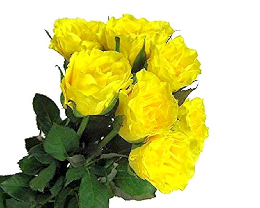 バラはどのくらい日持ちするの?おすすめの飾り方