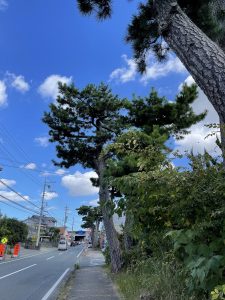 天竜川駅周辺 駅から徒歩10分以内(800m) 子供の遊び場・お出かけスポット | いこーよ