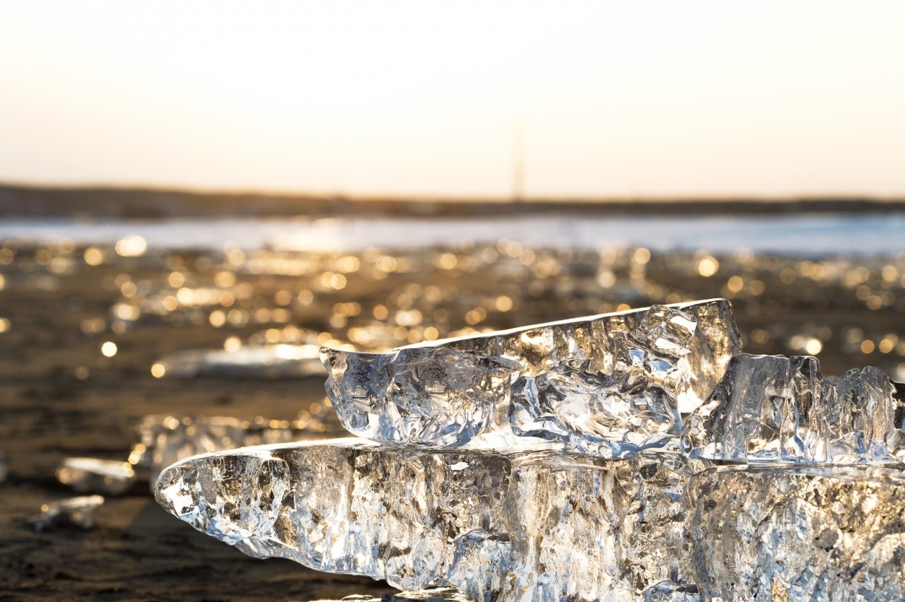 Jewelry Ice Live 2024 浦島久の玉手箱 帯広の英語学校JOYジョイ・イングリッシュ・アカデミ