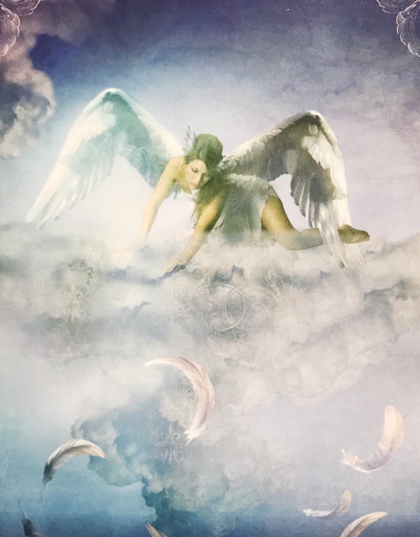 アースエンジェルは神秘の天使？疲れやすい？見た目・寿命・性格・食べ物など特徴まとめAngel Number