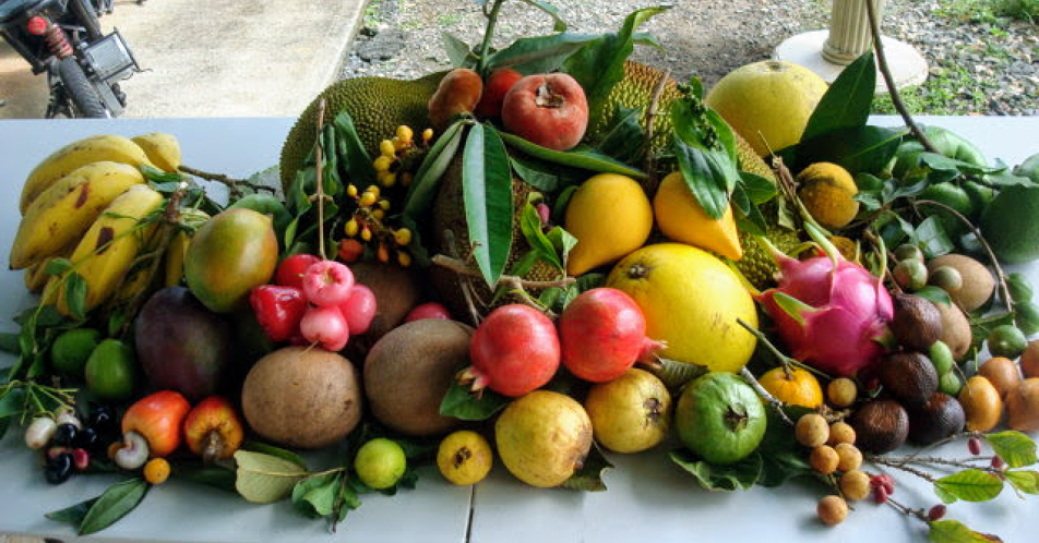 ハワイ島手作りスターフルーツ・ジャムハワイ島ツアー・観光ならマイカイ・オハナ・ツア