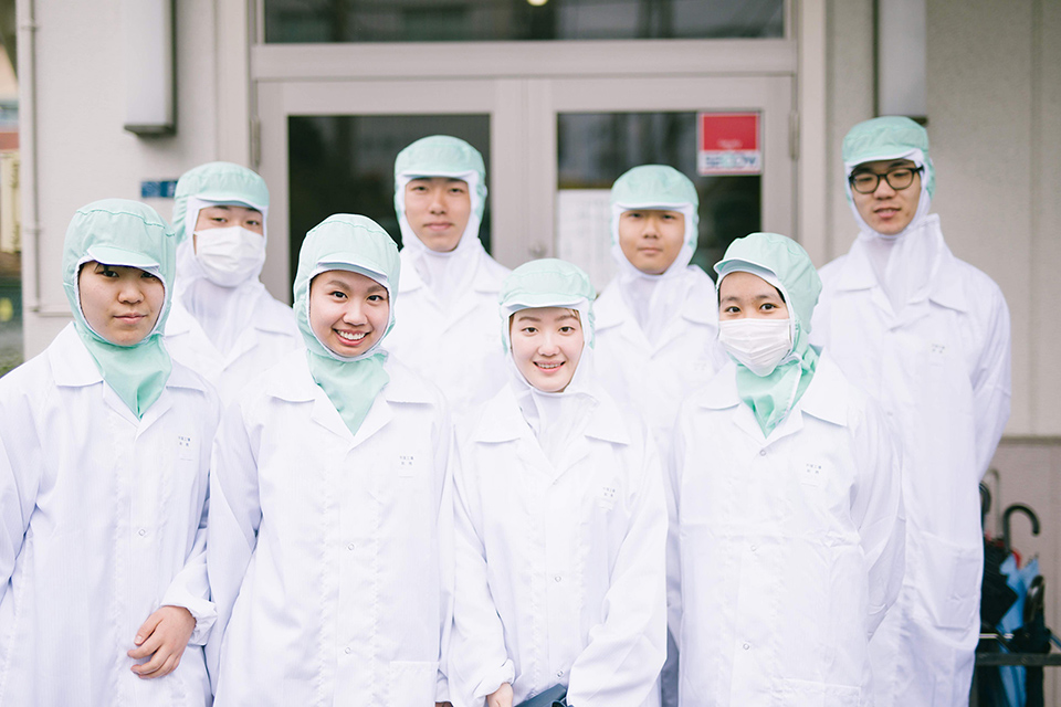 椿の八重咲きの種類の一覧まとめ植物NAVI