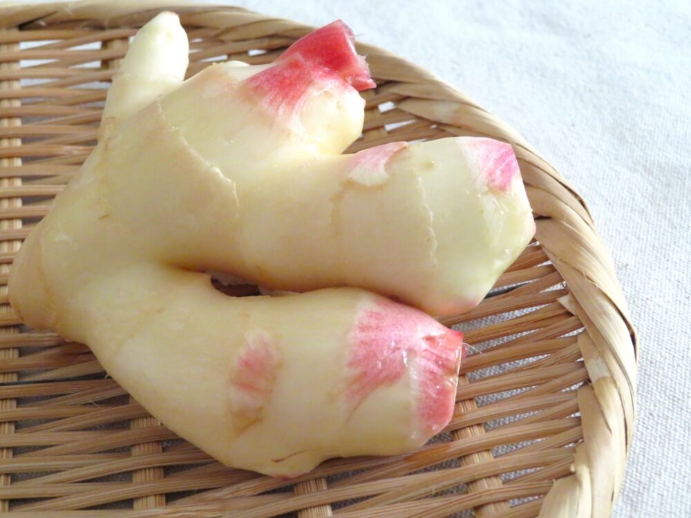 新生姜が食べられるのはいつ？旬の時期や生姜との違いについても解説！クラシル