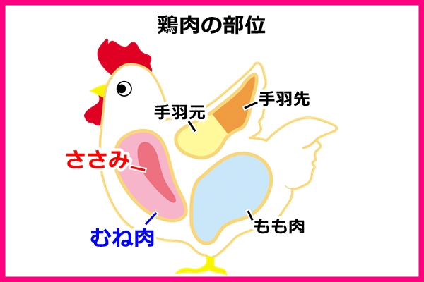 鶏胸肉のカロリーと栄養、タンパク質が多い部位ランキング 管理栄養士監修健康 ×スポーツ『MELOS』