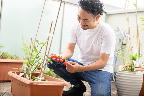 家庭菜園はプランターで!ベランダ菜園のはじめ方とおすすめ野菜10選コーナンTips