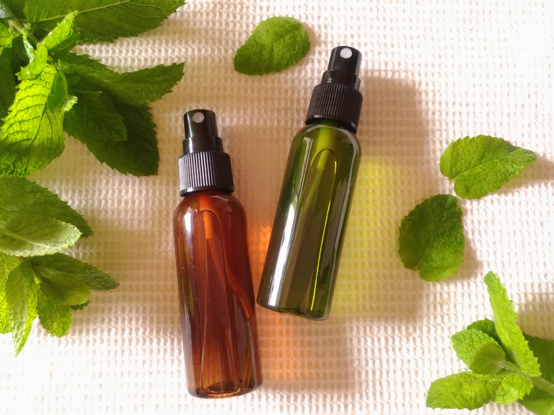 ハッカ油の便利な使い方6選！スプレーの作り方や注意点を解説 - トクバイニュース