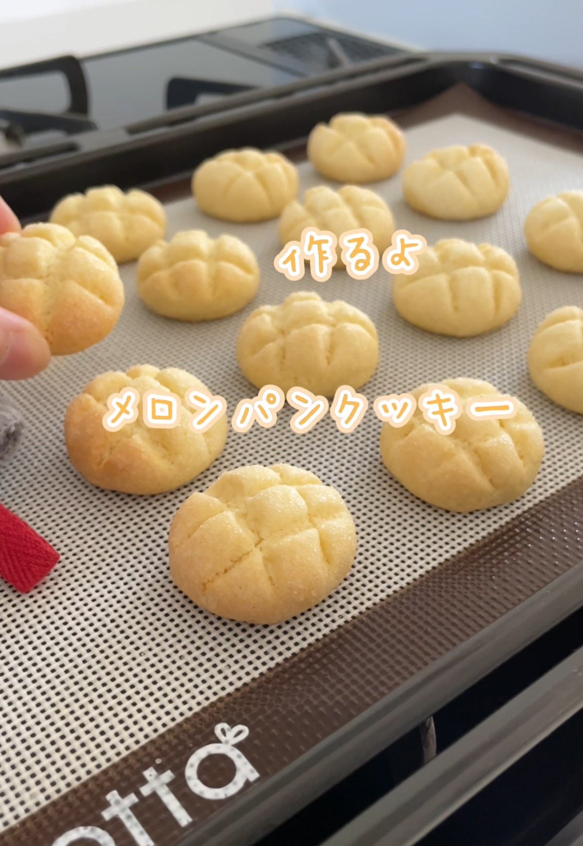 見かけは普通に。全粒粉オートミール入りメロンパン台北暮らし〜台湾小ネタ・腸活・パン作り