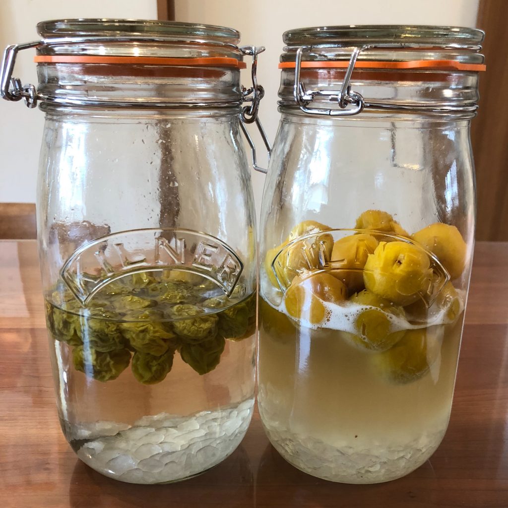 梅シロップが発酵したときの加熱について。白ごはん.com 冨田ただすけ