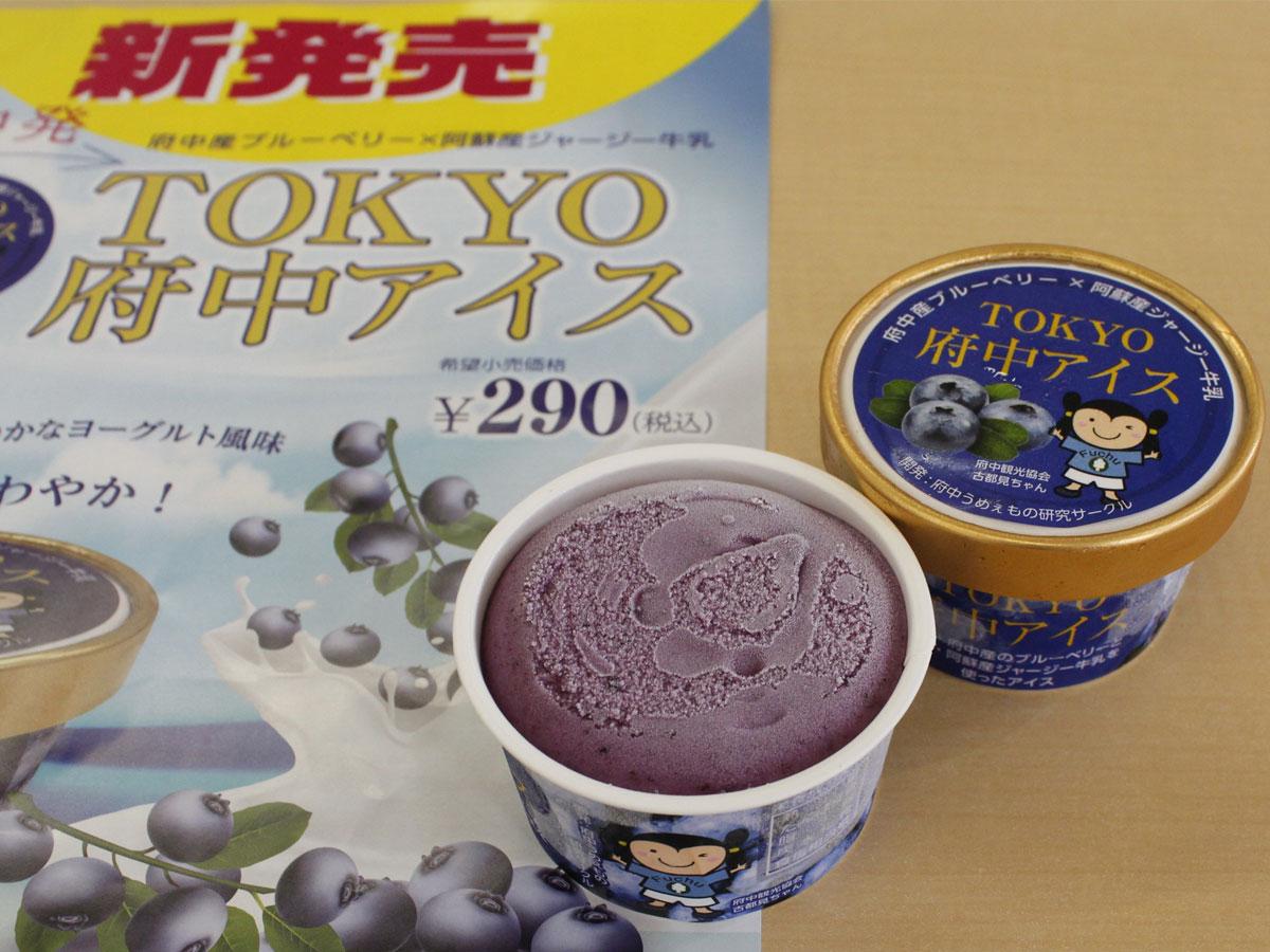 材料3つで簡単に混ぜるだけの ブルーベリーアイス の作り方を紹介します！How to make Blueberry Ice cream