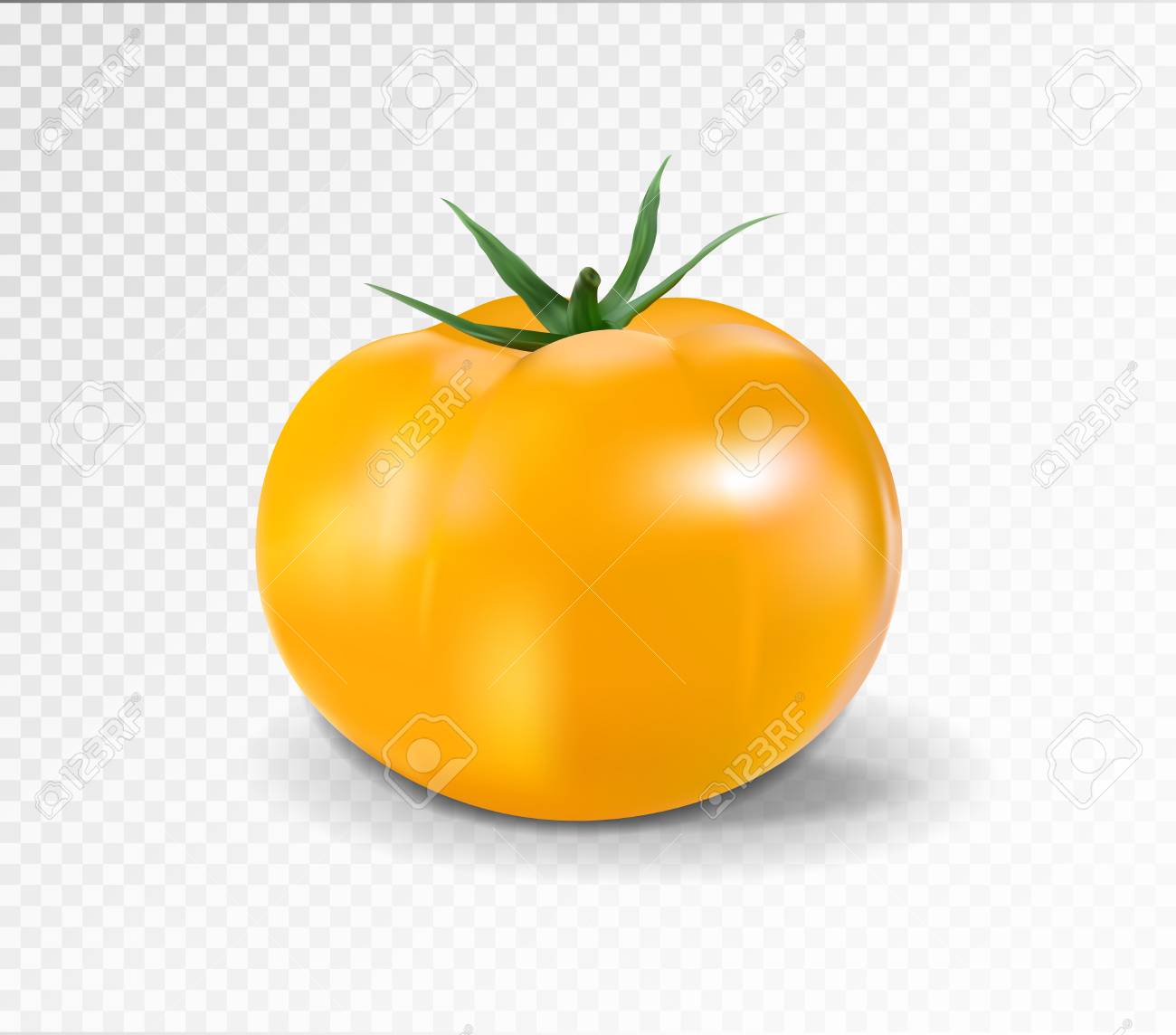 桃太郎ゴールド トマト品種カタログタキイの野菜 タキイ種苗