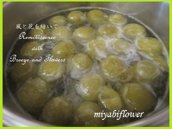 青梅の甘露煮JA長野八ヶ岳