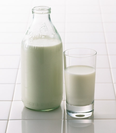 実験コラム 生クリームからバターをつくってみよう!〜素材 生クリーム〜保育と遊びのプラットフォーム ほいくる