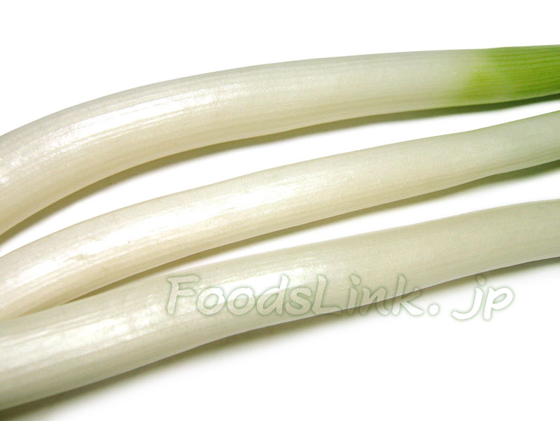 実は多い 長ネギ の「青い部分」を捨てる人たち→管理栄養士が「捨てるのはもったいない」と断言する納得の理由 オトナンサー dメニューニュース NTTドコモ