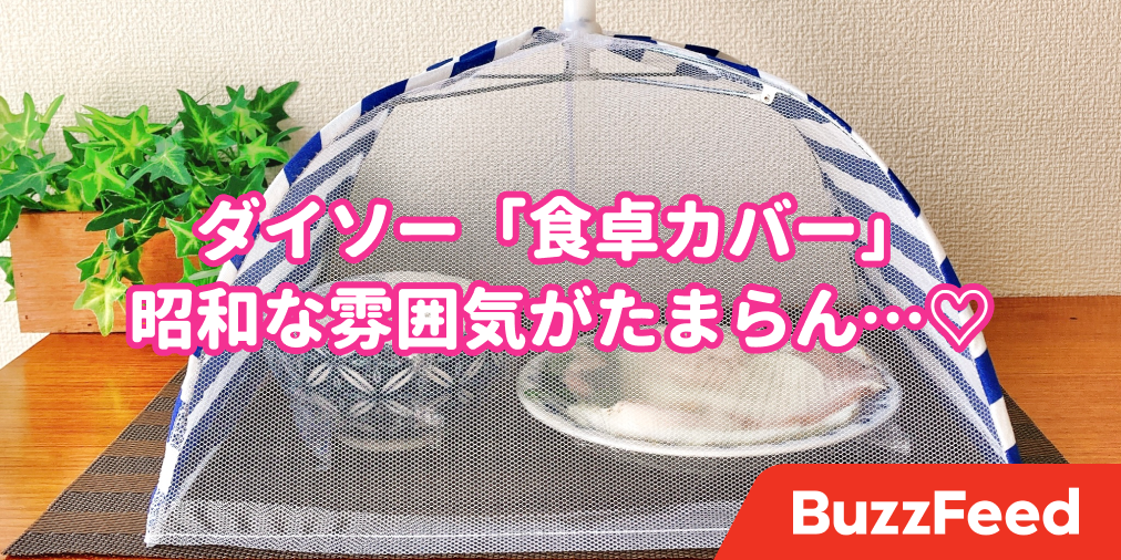 楽天市場 100均 フードカバーの通販