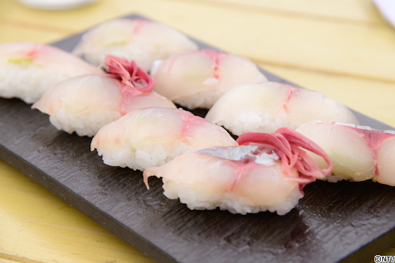 ギフト 刺身 昆布締め 7種 セット 甘海老 平目 真鯛 いか すずき 真鱈 車鯛 石川県 加賀 能登 昆布〆 お取寄せ 贈り物 産地直送 郷土料理送料無料 : 加賀・橋立港 マルヤ水産 - 通販 - Yahoo!ショッピング