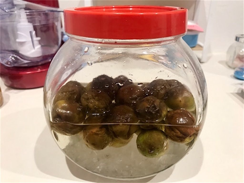 お梅さま、観察日記〜人生初の梅シロップ失敗〜さこ