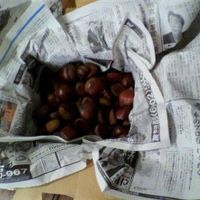 ＼ﾏﾗｿﾝ ｽﾀｰﾄﾀﾞｯｼｭ最大10%OFF笑顔になれる 焼き栗 1kg 2kg 5kg冷凍品送料無料 業務用 焼栗 くり 電子レンジやきぐり 中国原料中国加工 おやつ 文化祭 小腹がすいた スイーツ お菓子 和菓子 冷凍 甘栗 天津甘栗 デザート ギフト 食べ物 プレゼント