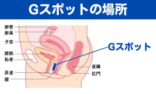 Amazon | バイブ 女性用