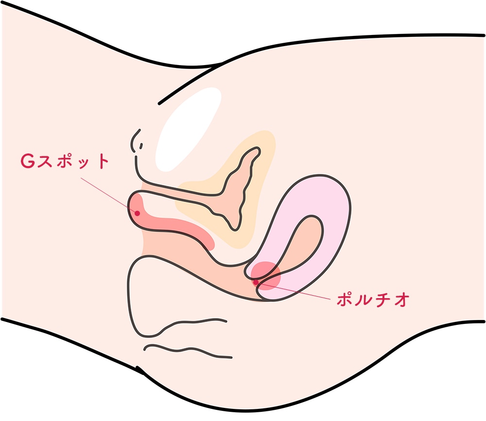 Gスポットの見つけ方と開発方法！攻め方やおすすめ体位を徹底解説｜風じゃマガジン