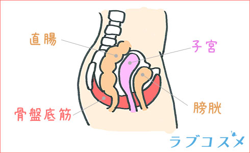 膣なら(ちなら)とは？膣から空気が出る原因や改善の解説 | コラム一覧｜